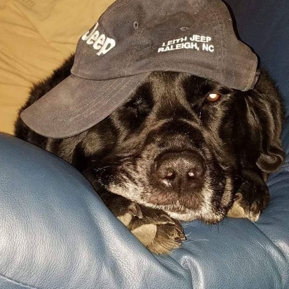 Meet your Posher, Jeannene - Picture 1 of 1